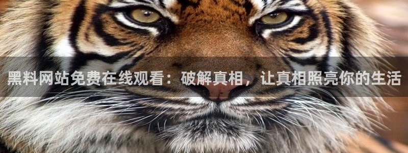 当红名人丑闻瓜料爆料